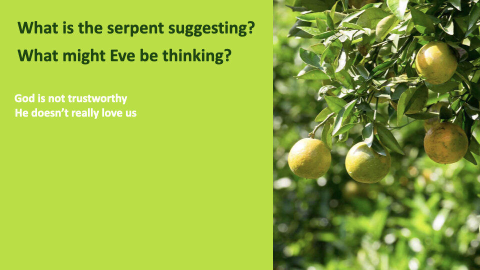 GW 2.6 Shame.012.jpeg