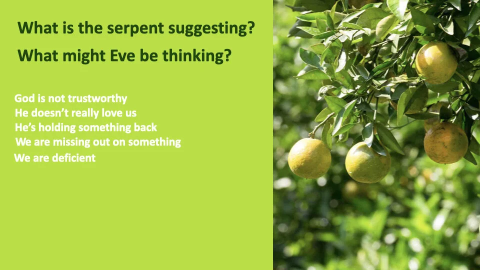 GW 2.6 Shame.015.jpeg