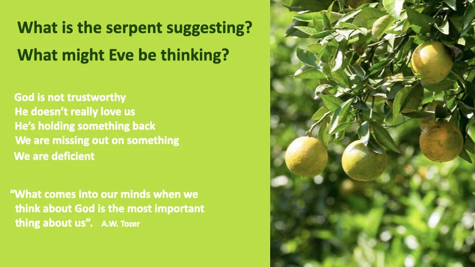 GW 2.6 Shame.016.jpeg