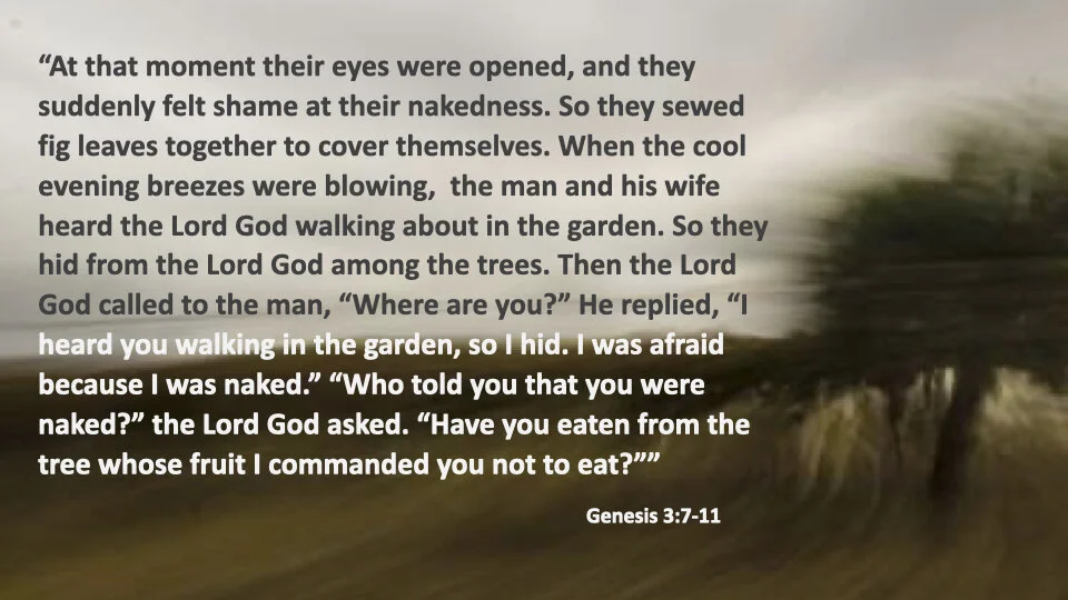 GW 2.6 Shame.017.jpeg