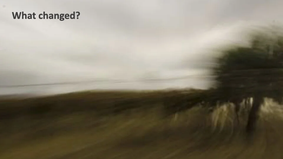 GW 2.6 Shame.019.jpeg