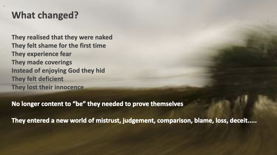 GW 2.6 Shame.028.jpeg