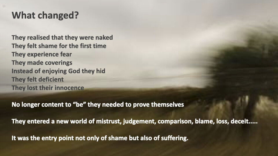 GW 2.6 Shame.029.jpeg