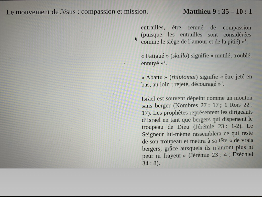 Mattieu 9 Webinar.009.jpeg