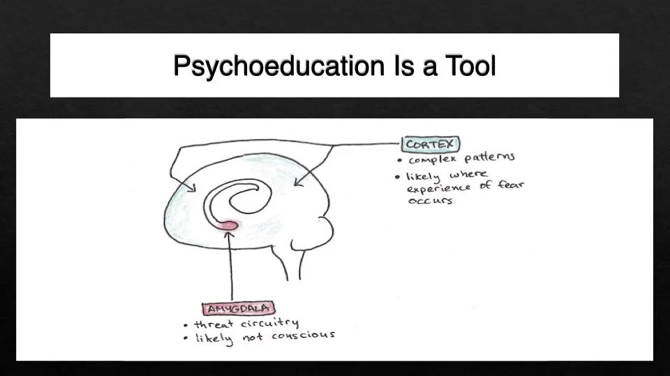 Anxiety Depression and Bipolar Key Notes  (2).011.jpeg
