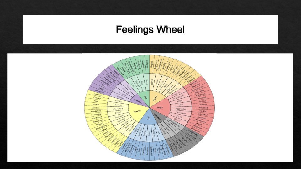 Anxiety Depression and Bipolar Key Notes  (2).029.jpeg