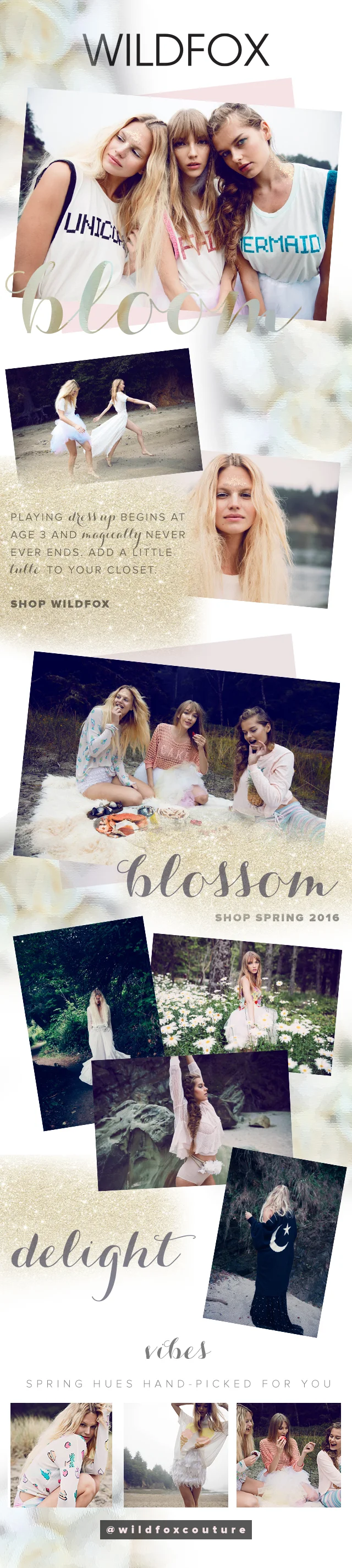 Wildfox_Spring2016_Email_640px.jpg