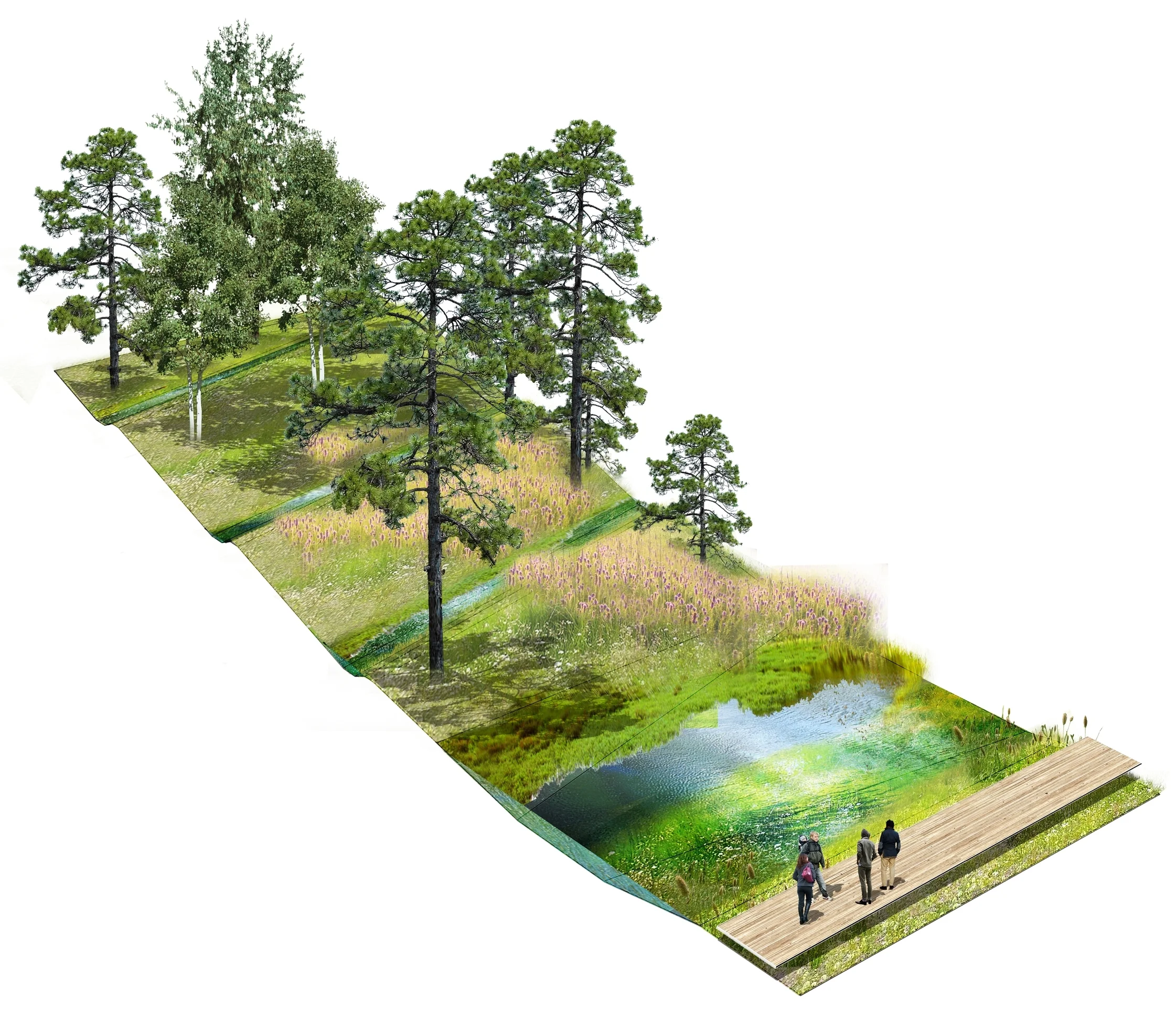 003_DERWENT FOREST_ICON.jpg