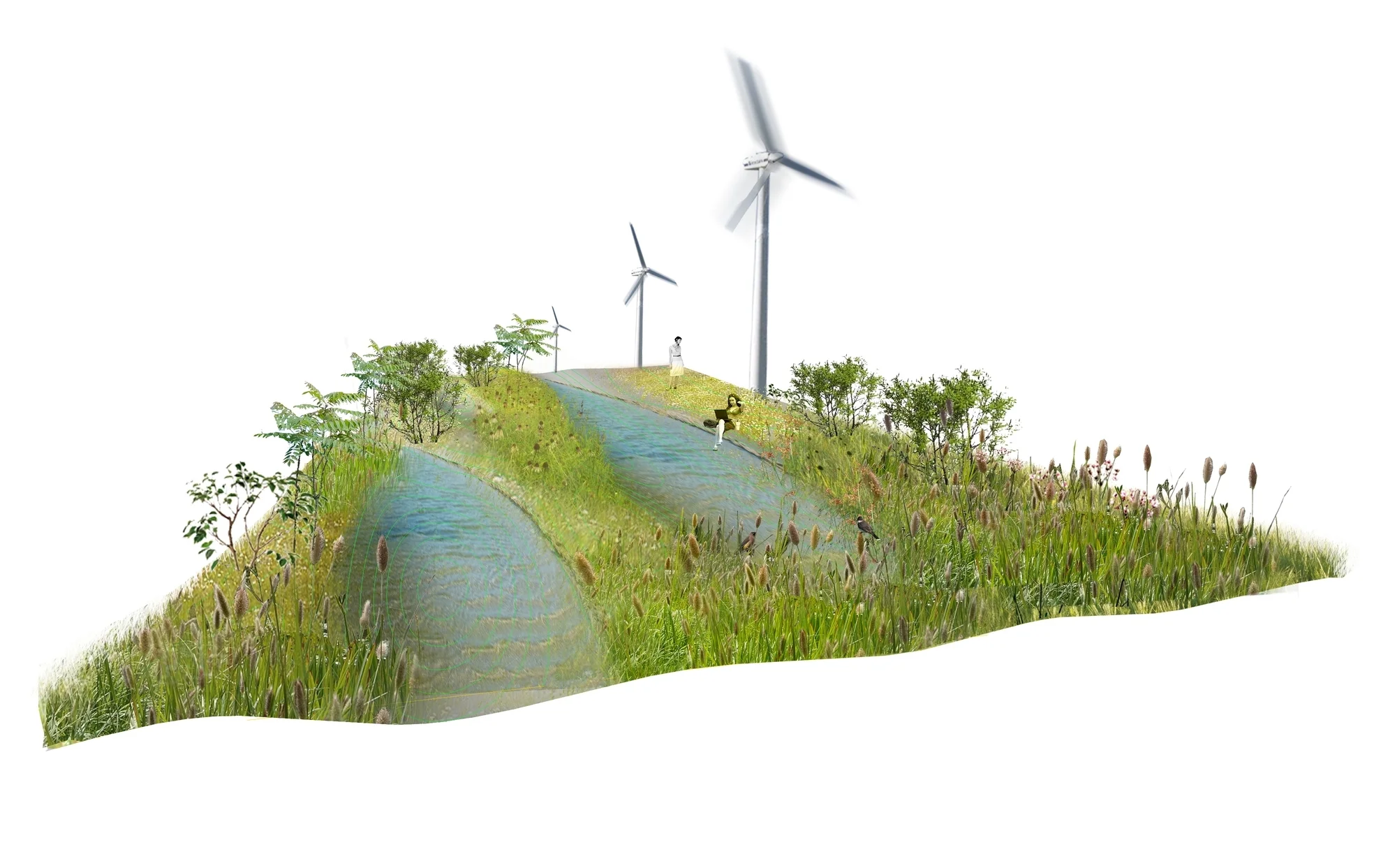 BIO-FIELDS_03.jpg