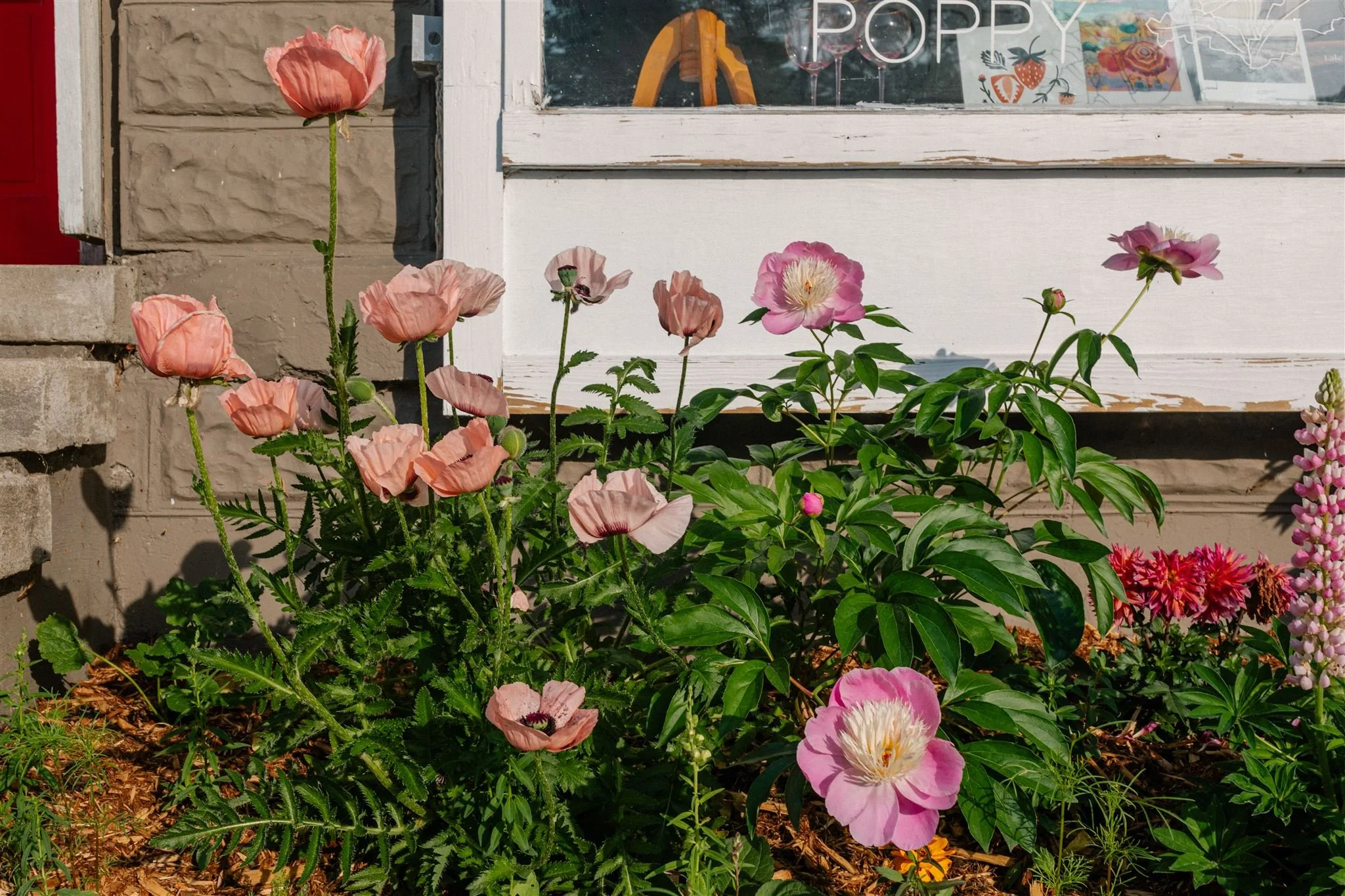 Poppy Things