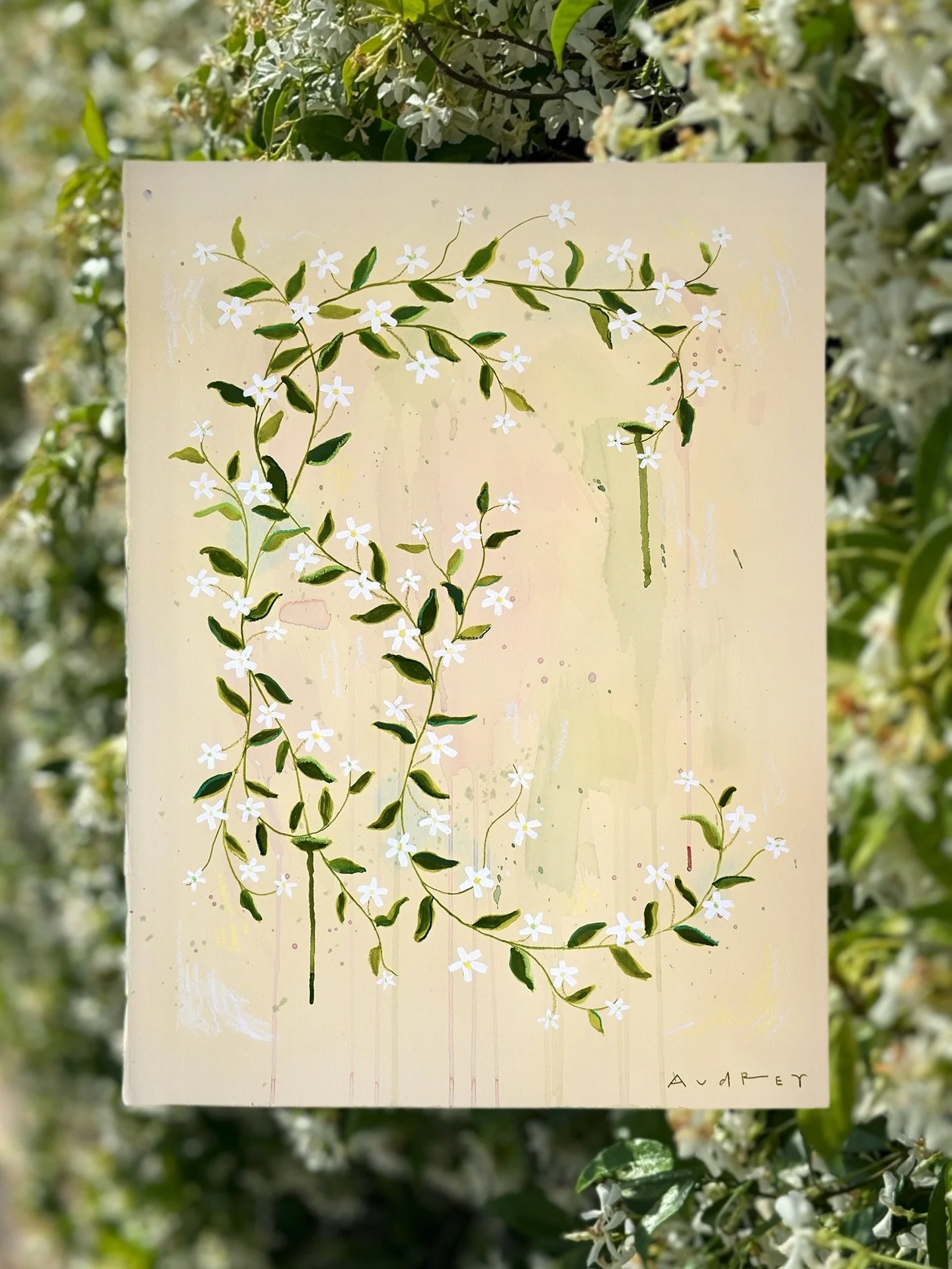 The way these vines stretch out across the colorful fragrance of the Jasmine that drips along this French cream paper makes my heart melt. 
These three paintings from my ‘Star Jasmine’ collection are some of my favorites and they’r