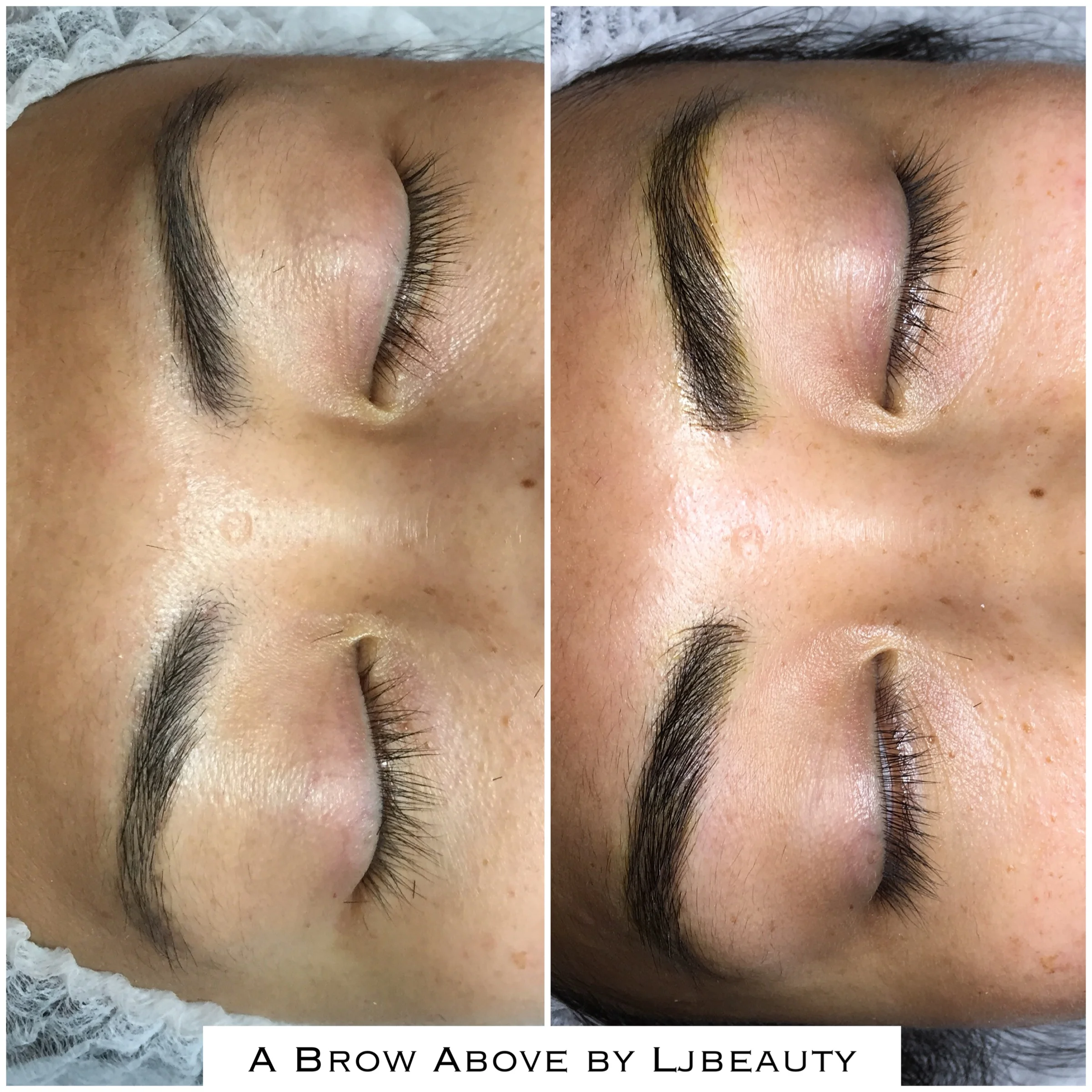 brows37.JPG