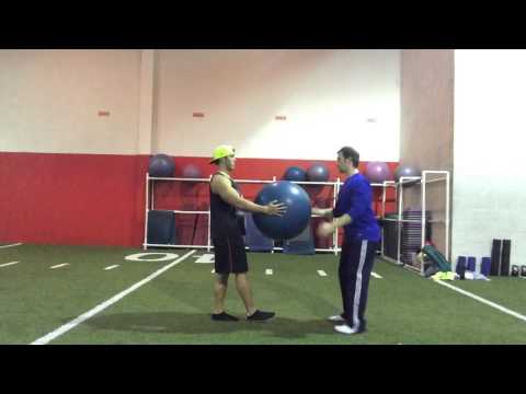 Single-Leg Partner Perturbation w/ Stability Ball