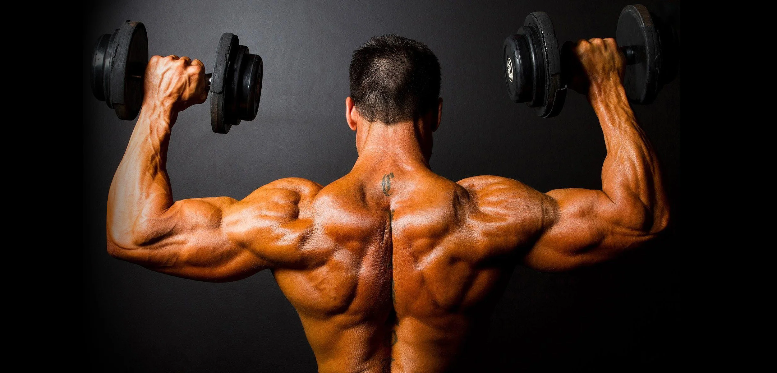 Shoulder Press with Dumbbells.jpg