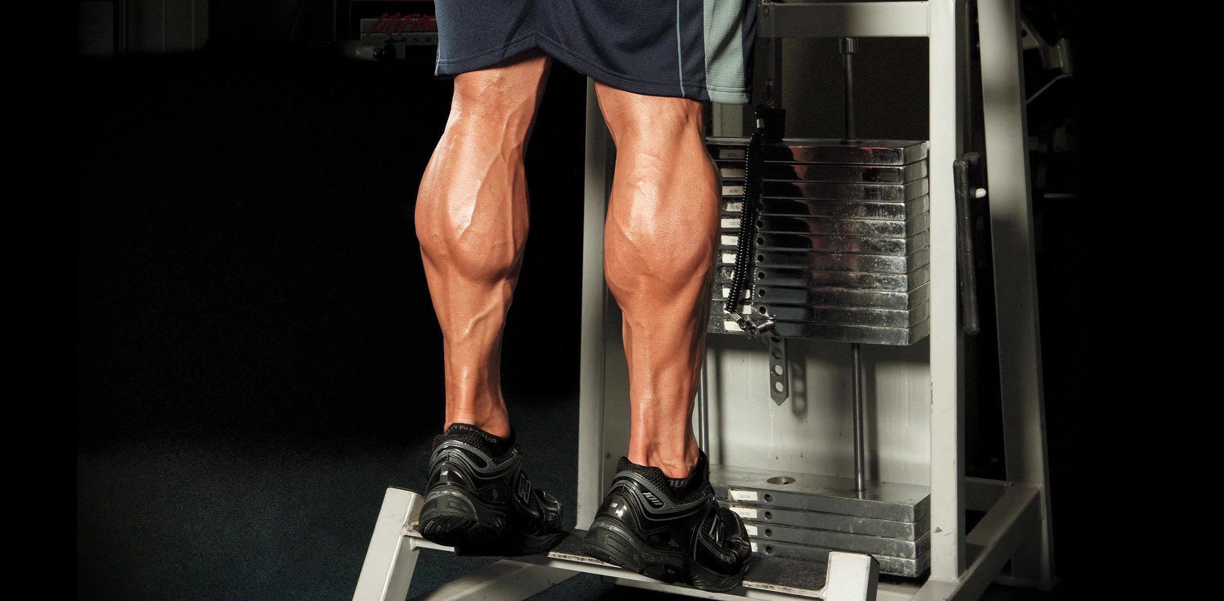 Calf Raises Standing 2.jpg