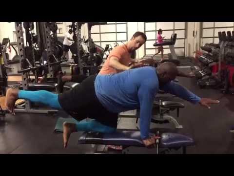 Quadruped Bird Dog on Bench with Partner Perturbation Taps: Reactive Stabilization