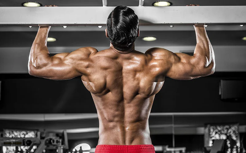 Pullups.jpg
