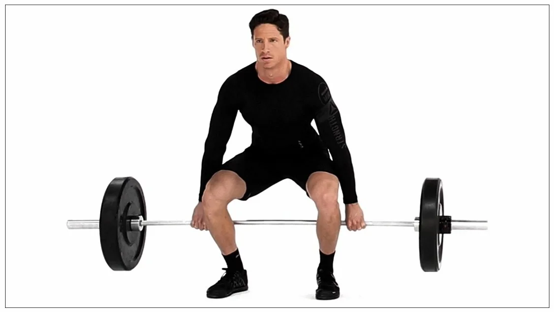Hack Squat.jpg