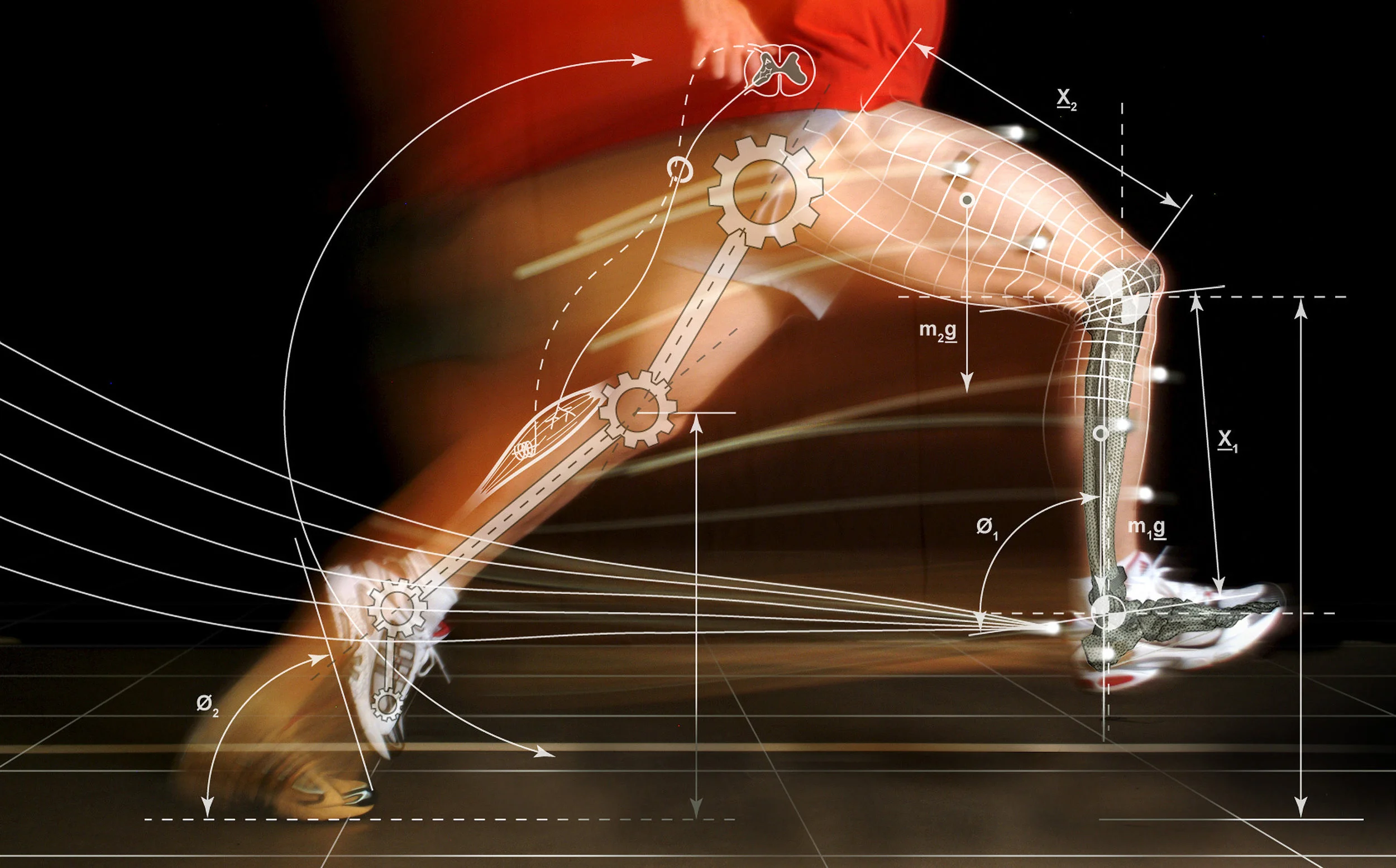 Feet and Ankle Training for Optimal Performance