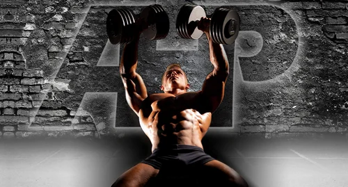 The Best Dumbbell Chest Press You Re Not Doing Advanced Human Performance Official Website Home Of Dr Joel Joshua Seedman