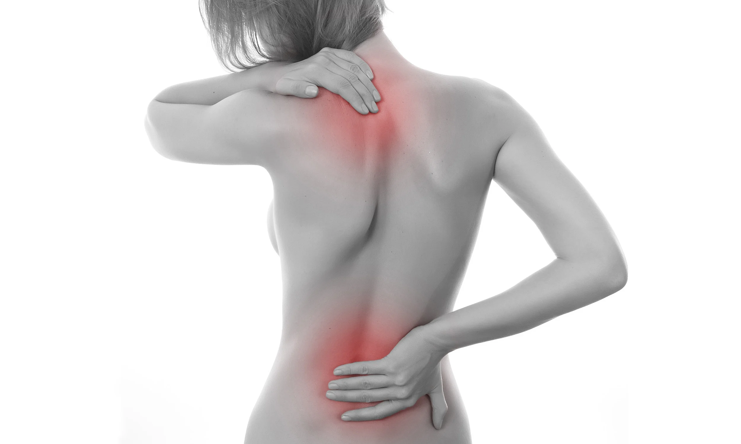 Back Pain Female.jpg