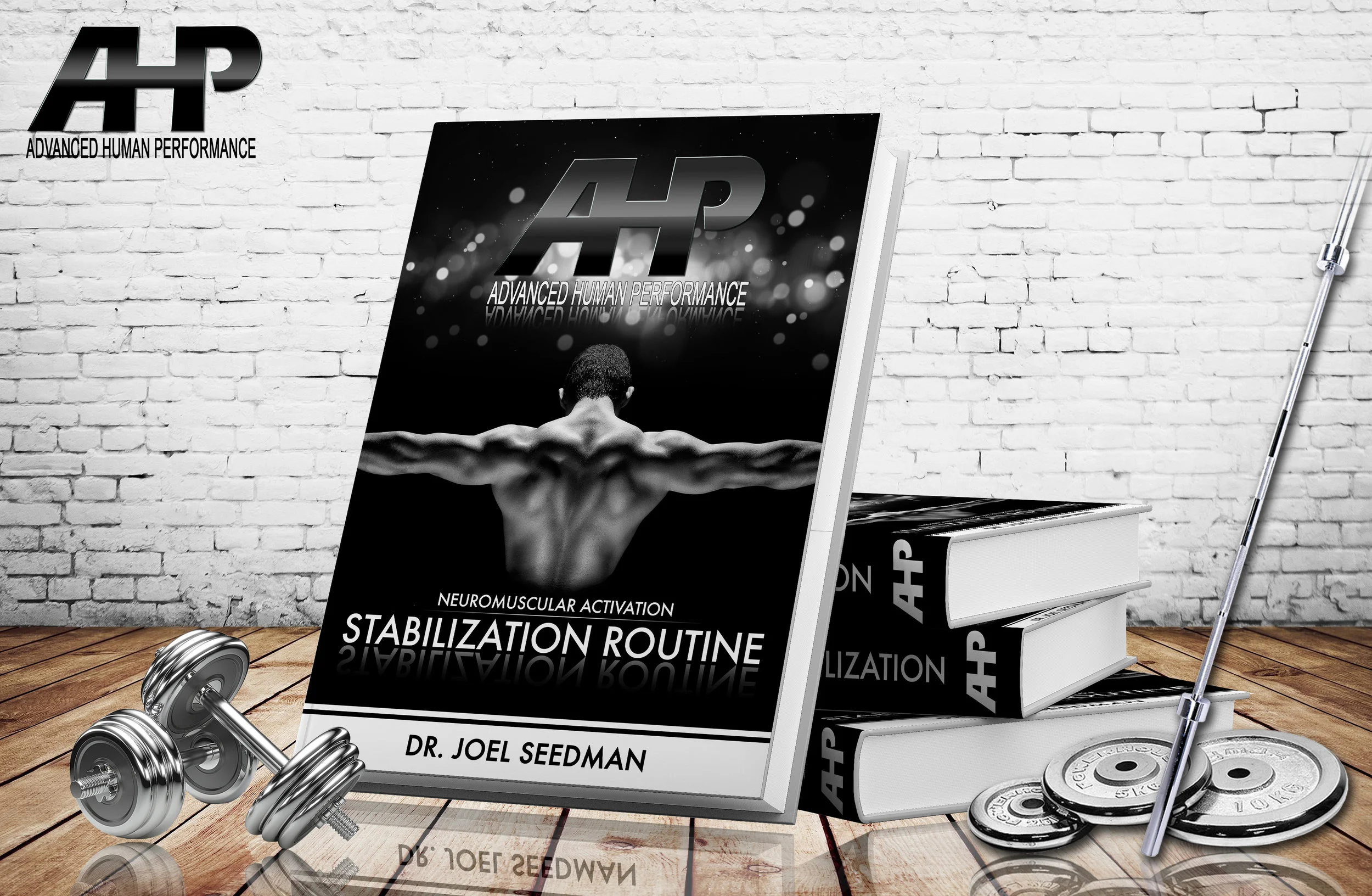 Stabilization Exercise Program Home Training & Bodyweight Programs — Advanced Human Performance ...