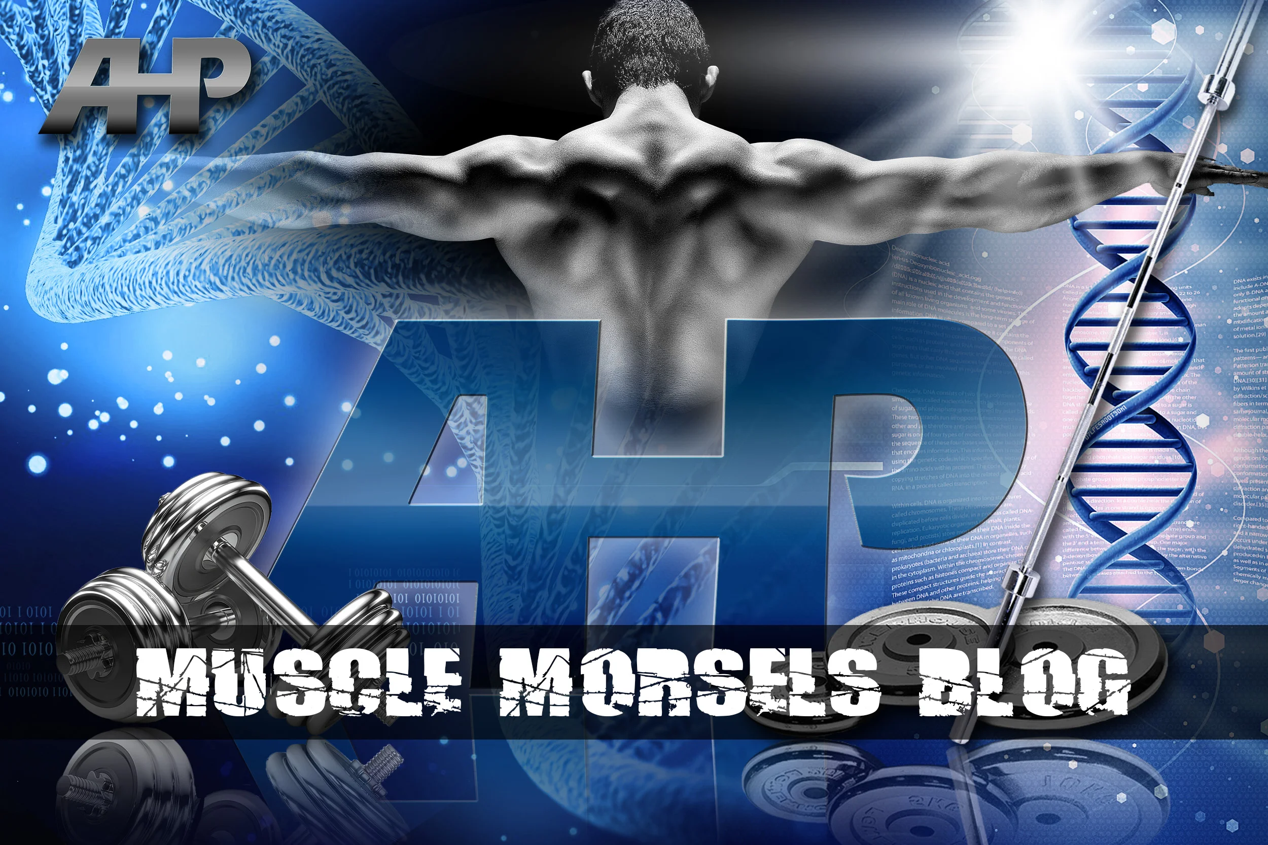 Muscle Morsels Blog (AHP).jpg