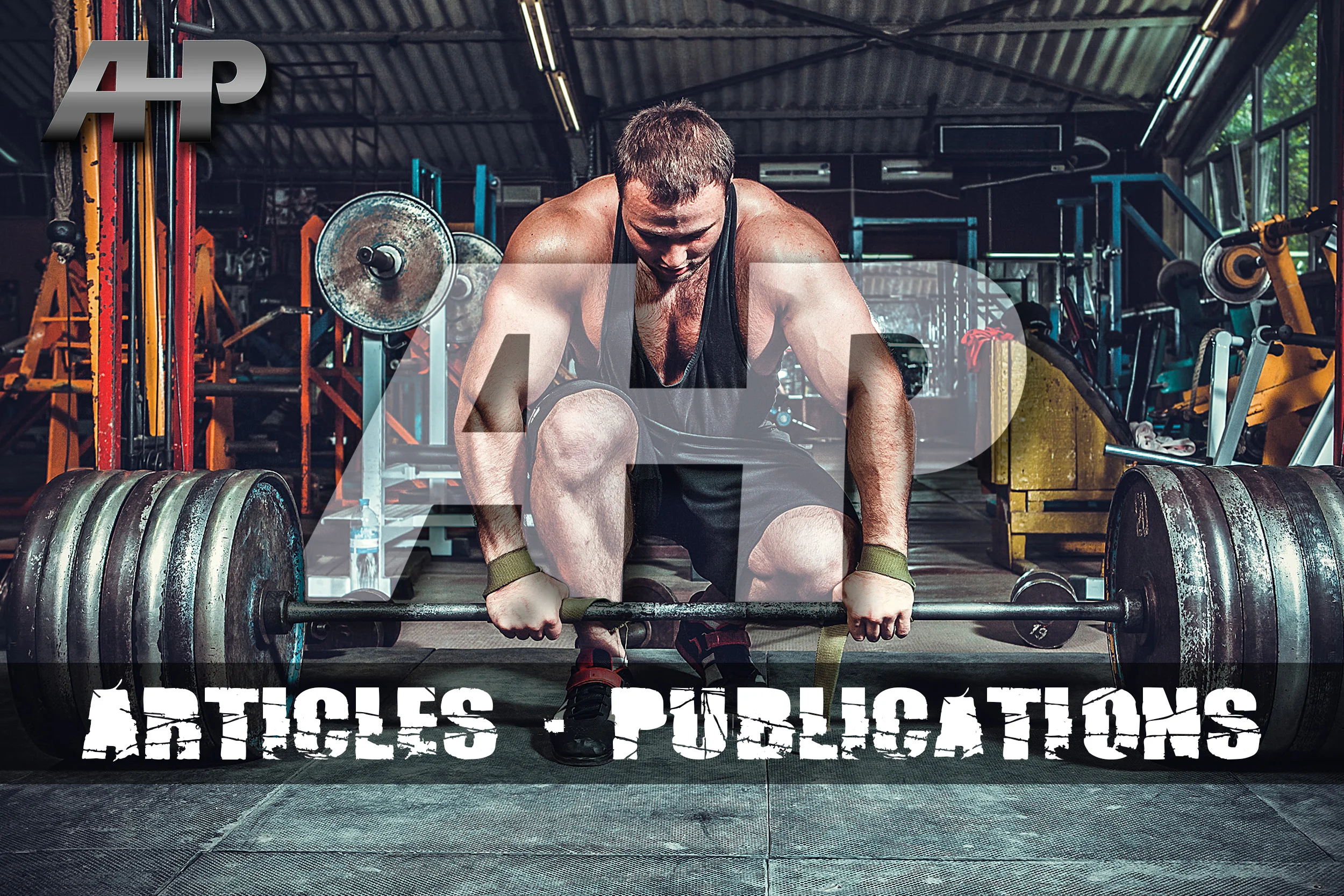 Articles & Publications - AHP.jpg