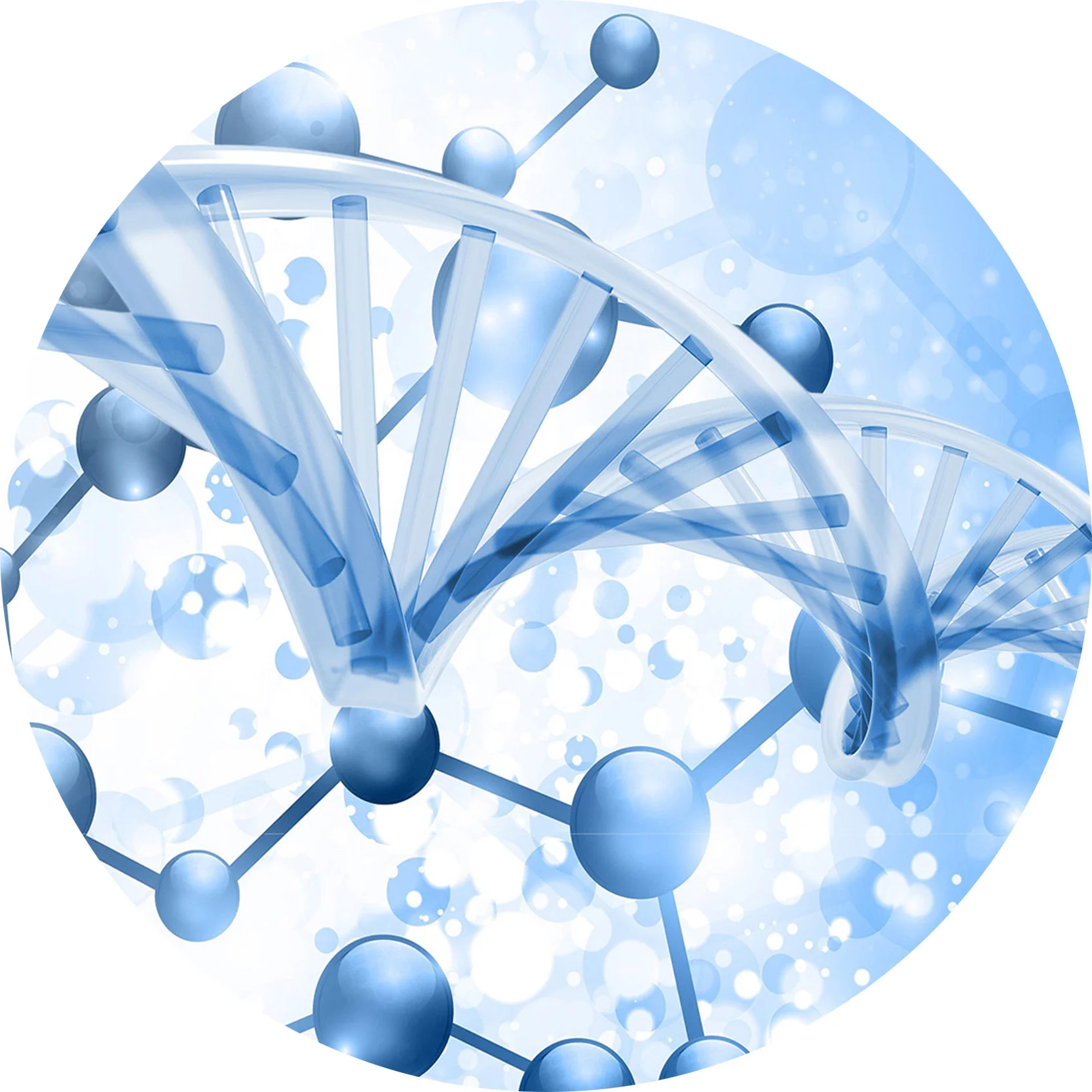 Hormone Regulation