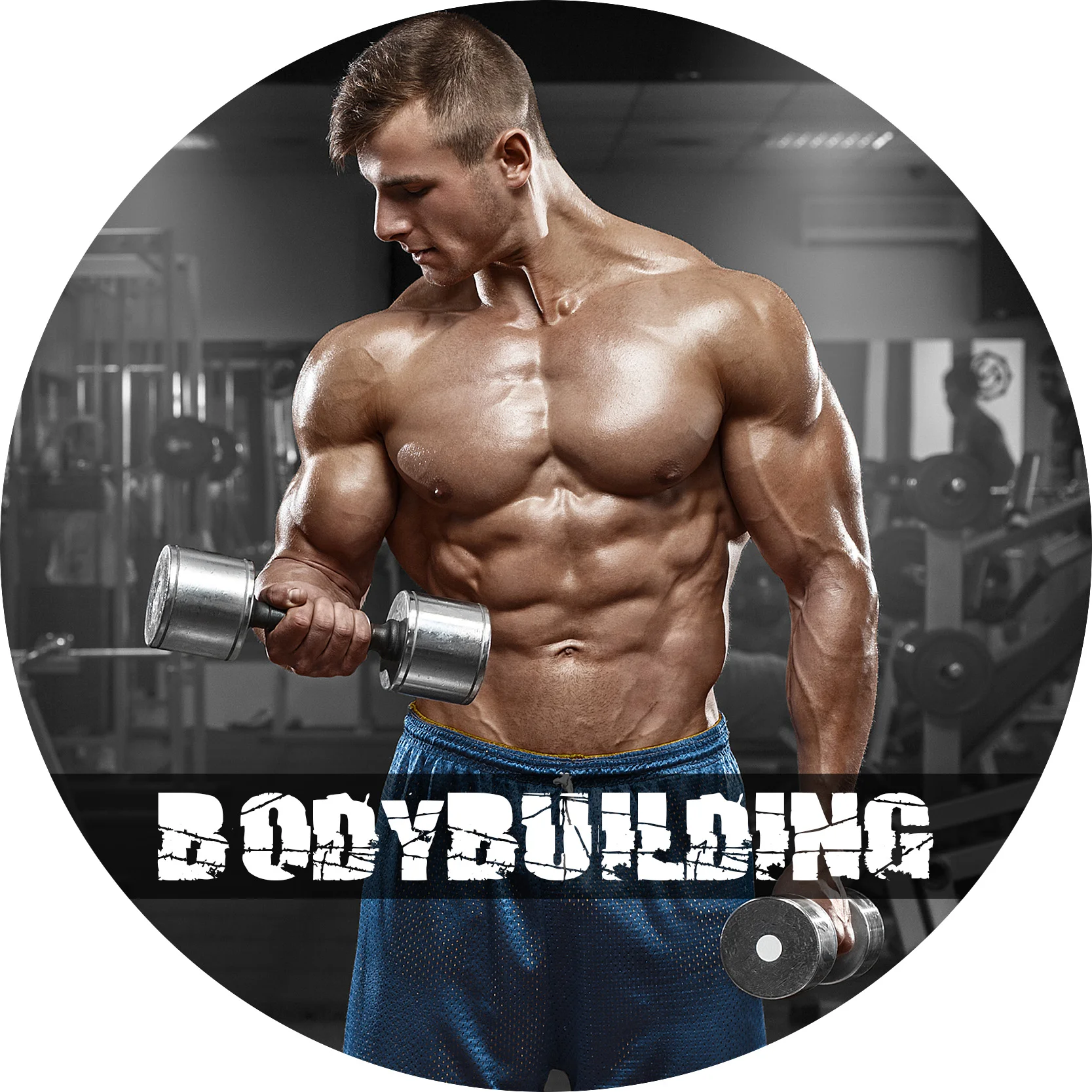 Bodybuilding Hypertrophy — Advanced Human Performance Official