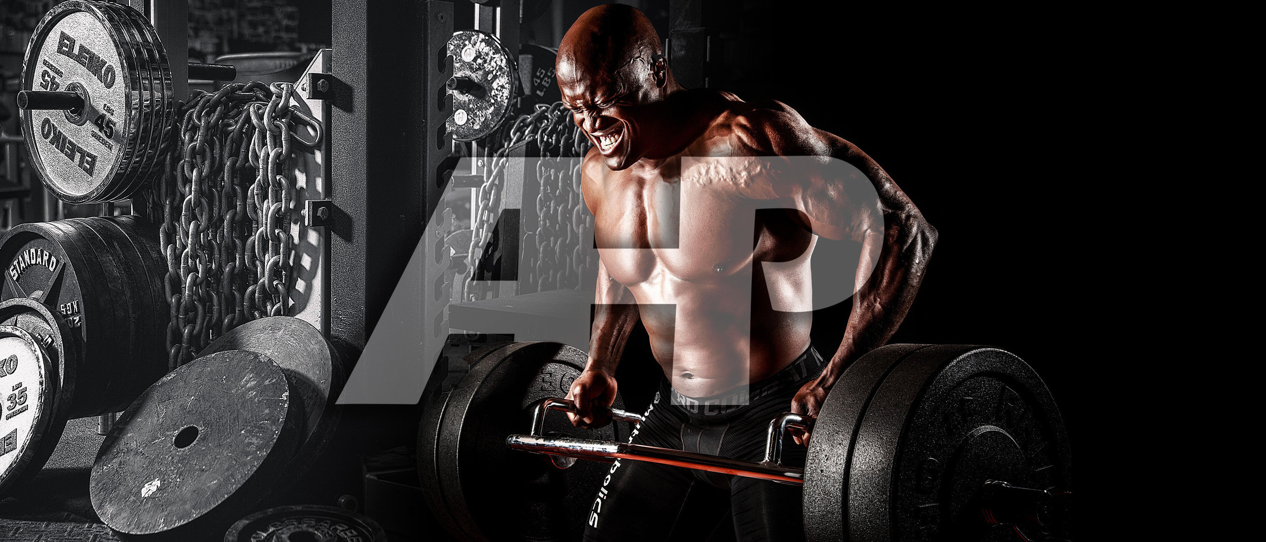 Ab Rows Excersize 50 Best Ab Rollouts You've Never Done — Advanced Human Performance ...
