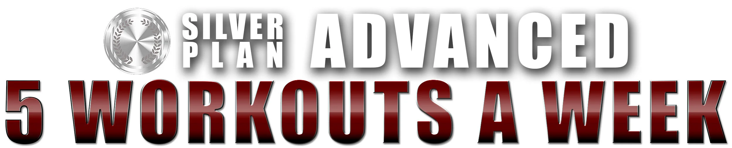 Training Redefined Silver Membership Title - 5 Workouts a Week (AHP).jpg