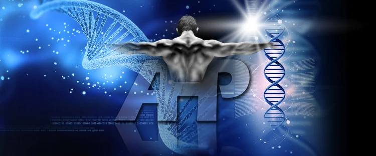 Advace Human Advanced Human Performance Official Website | Home of Dr. Joel & Joshua ...