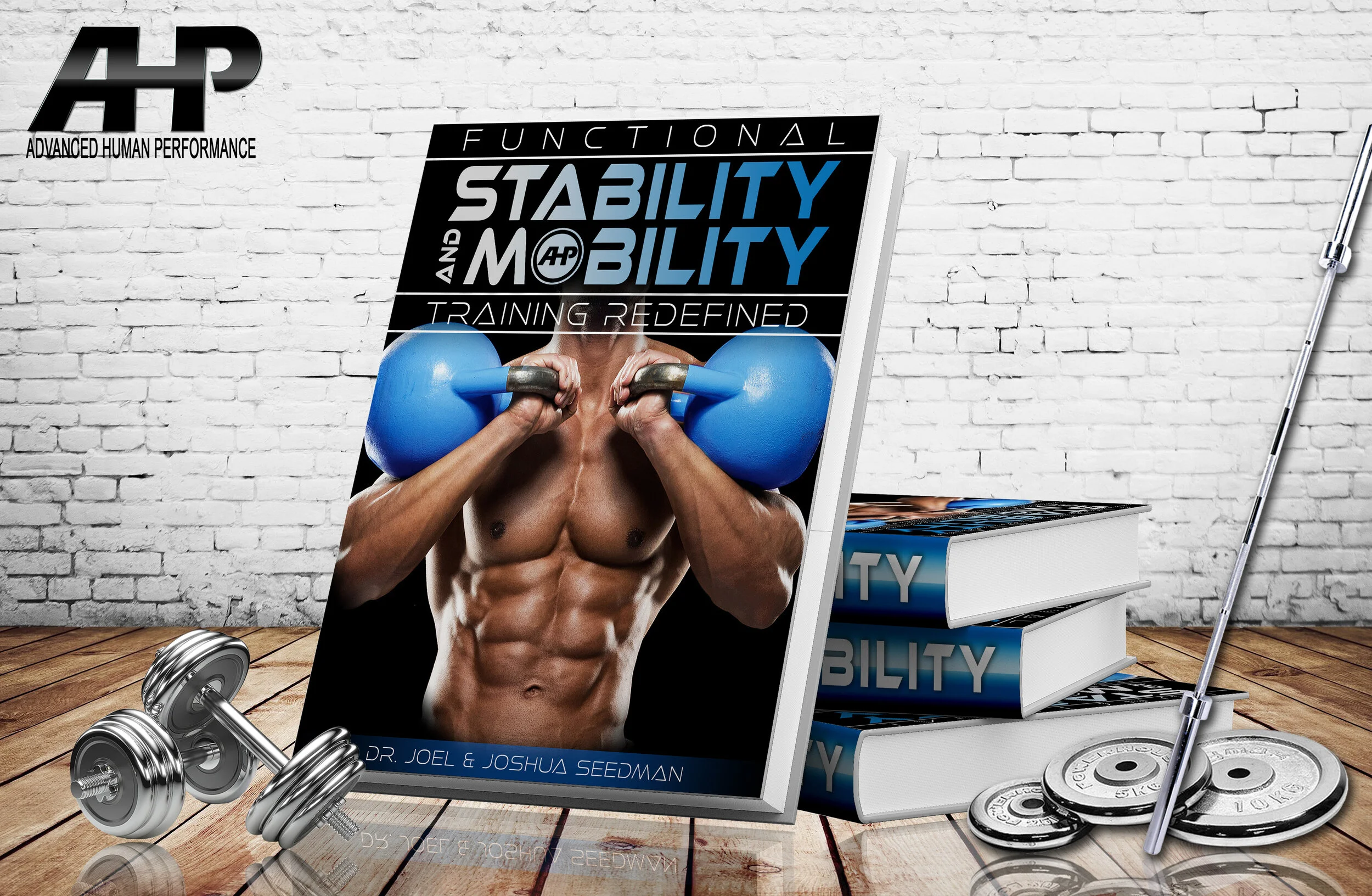 Functional Stability and Mobility Training Redefined — Advanced Human ...