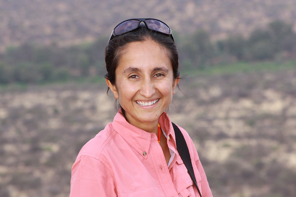 SHIVANI BHALLA, PhD is Founder and Executive Director of Ewaso Lions in Northern Kenya. A fourth generation Kenyan, Shivani has lived and worked with the Samburu community since 2002. Shivani’s passion and commitment to Kenya’s lions has earned her outstanding recognition in the conservation field, including the 2014 Whitley Award, 2014 National Geographic Emerging Explorer, and the 2013 Rabinowitz-Kaplan Prize for the Next Generation in Wild Cat Conservation. Shivani vividly recalls her first wild carnivore siting while on safari in Samburu with her family at 8 years old, and has dedicated her life to lion conservation through community engagement and collaboration in the field. Shivani received her PhD from Oxford University in Zoology, focusing on lions living in community areas. She is a member of the African Lion Working Group, IUCN Cat Specialist Group, and KWS Large Carnivore Taskforce.