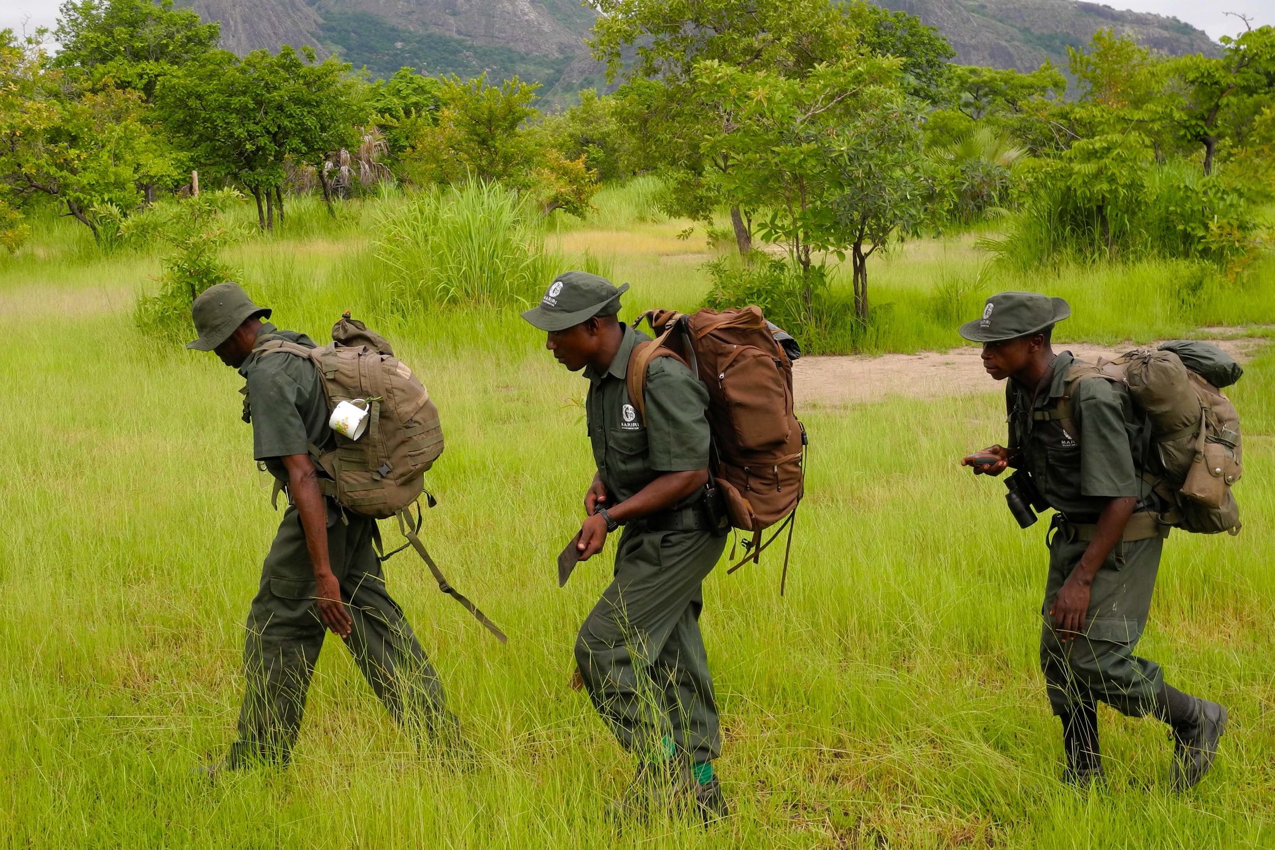 Antipoaching scouts, Niassa Lion Project