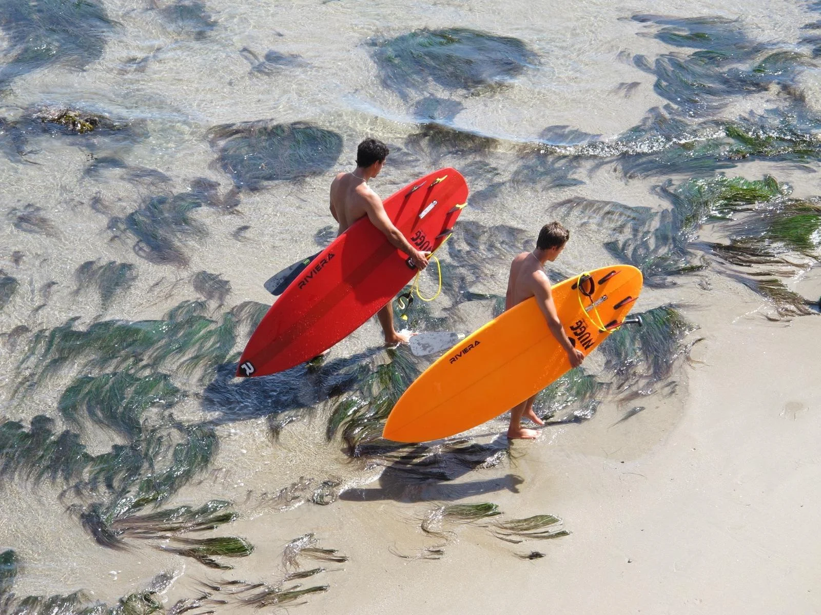 Santa Cruz PaddleFest 2016 - Coach Joe Maltese (Right) and Anthony Maltese (Left)