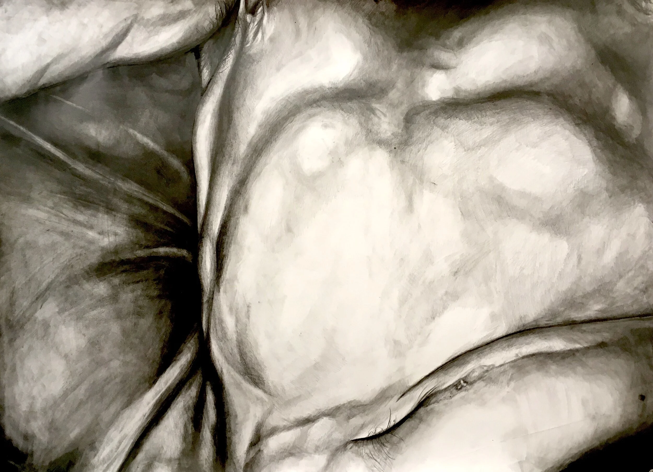 Corey Torso 4x6 - Copy.jpg