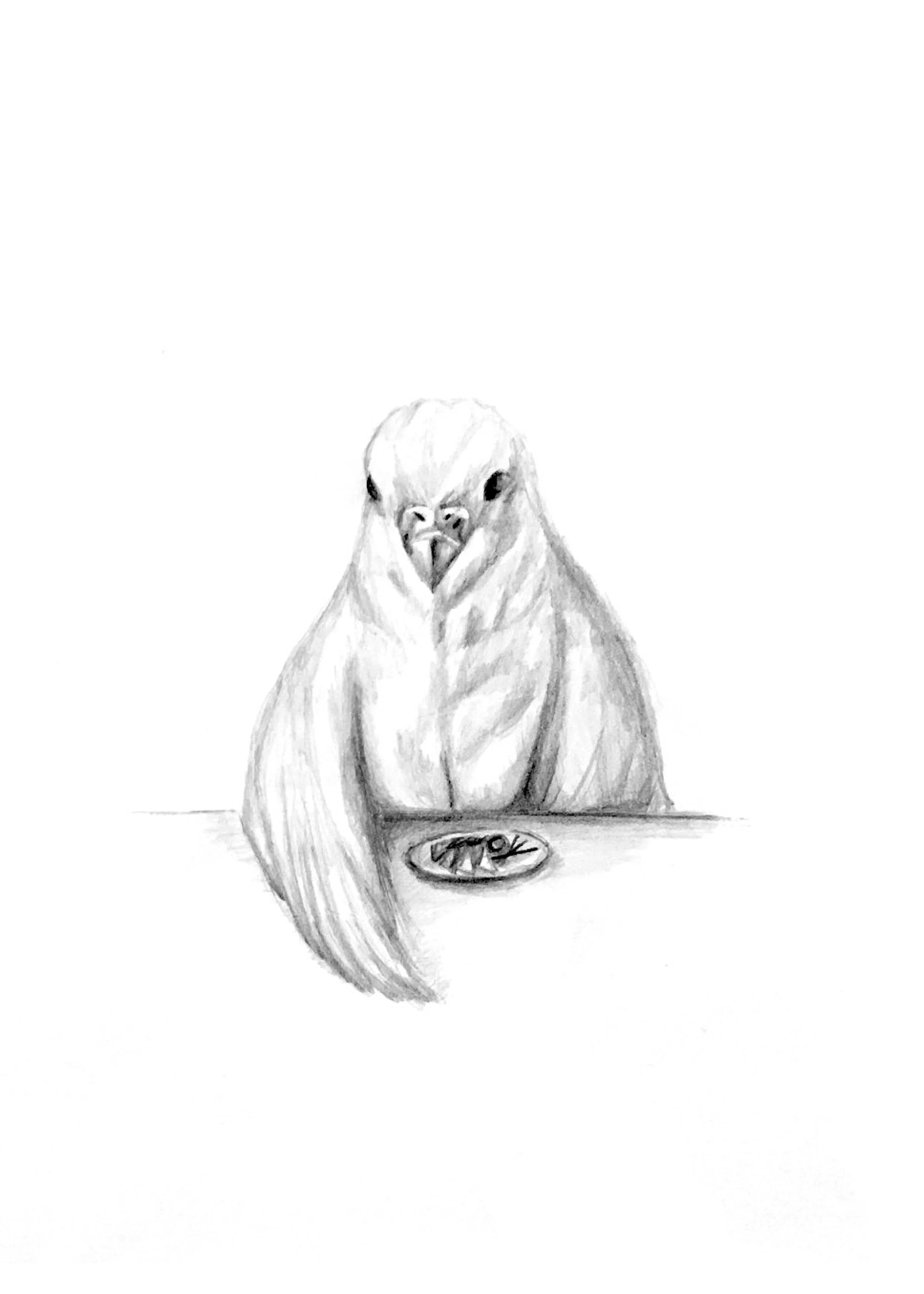 Elegant Animal Parakeet 5x7 - Copy.jpg