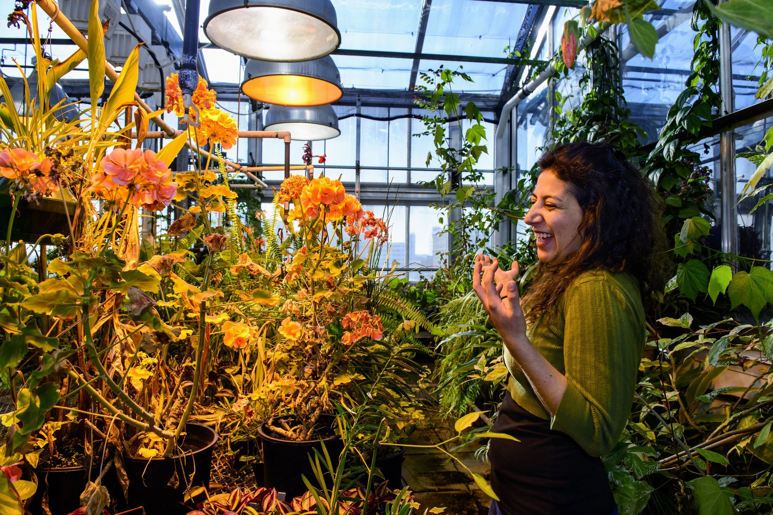 Greenhouseweb.jpg