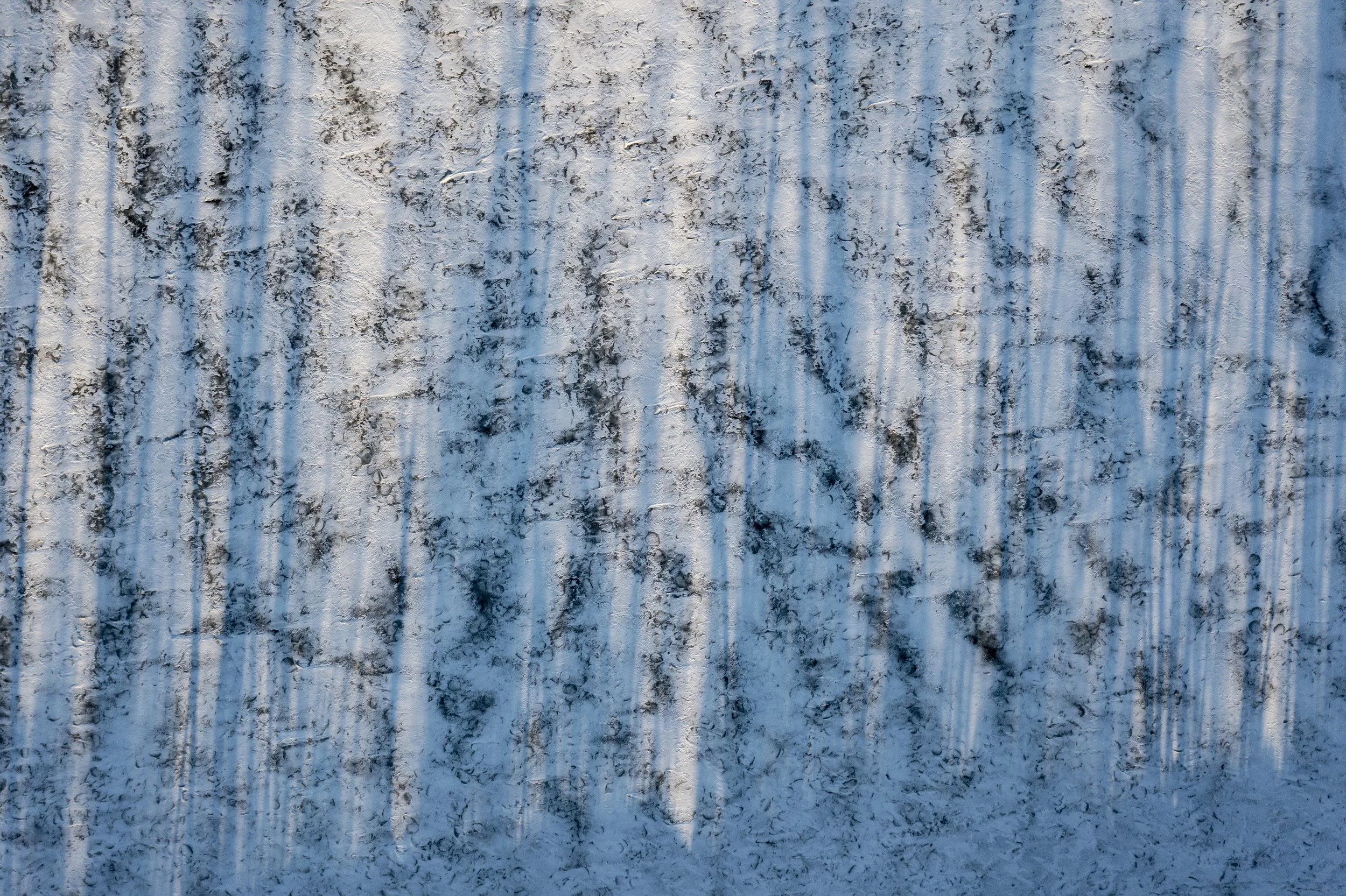 dji_0777.jpg