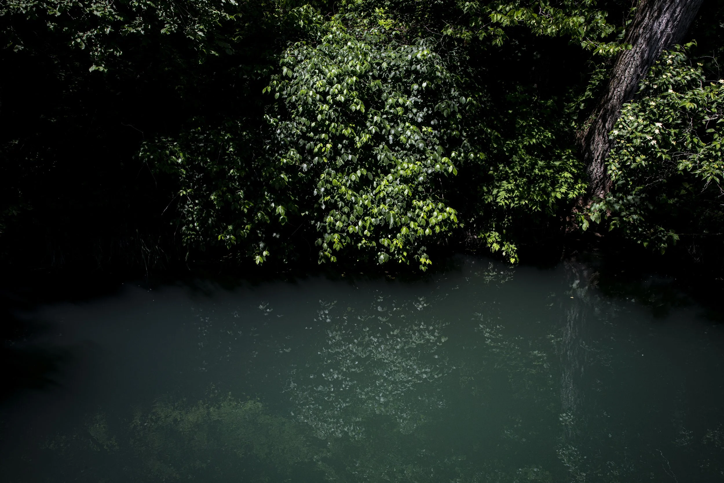 portfoliowater025.JPG