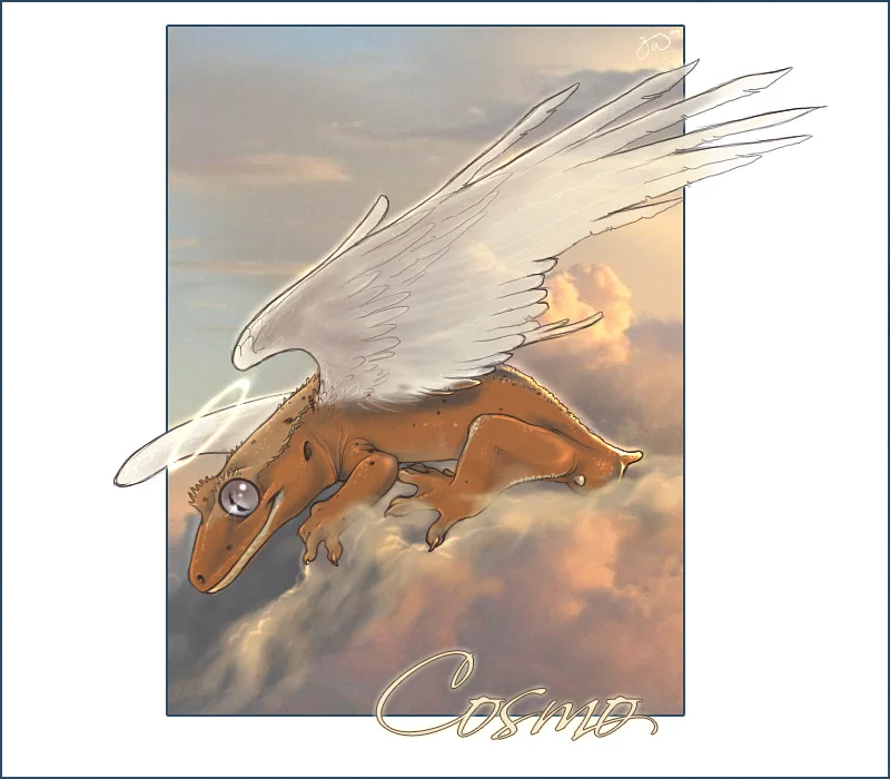 Cosmo___watching_you_by_KestrelShatterwind.jpg