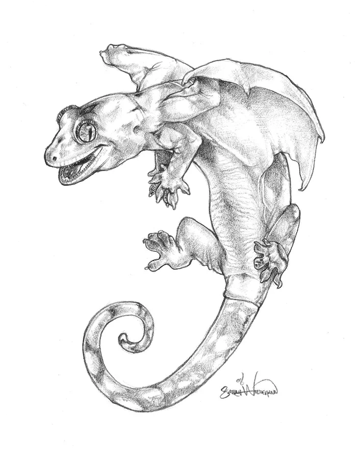 Rhacodactylus_Chahoua_Dragon_by_KestrelShatterwind.jpg