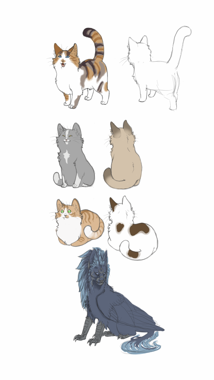 Sketch34202850.png