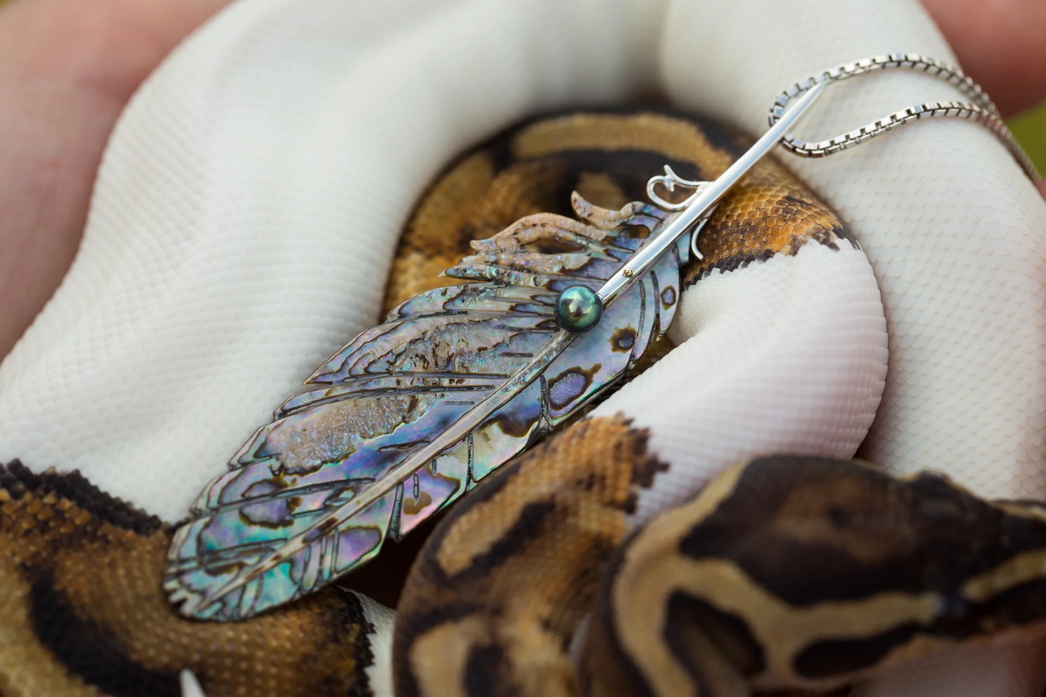 Hand carved paua shell and sterling silver feather neck
