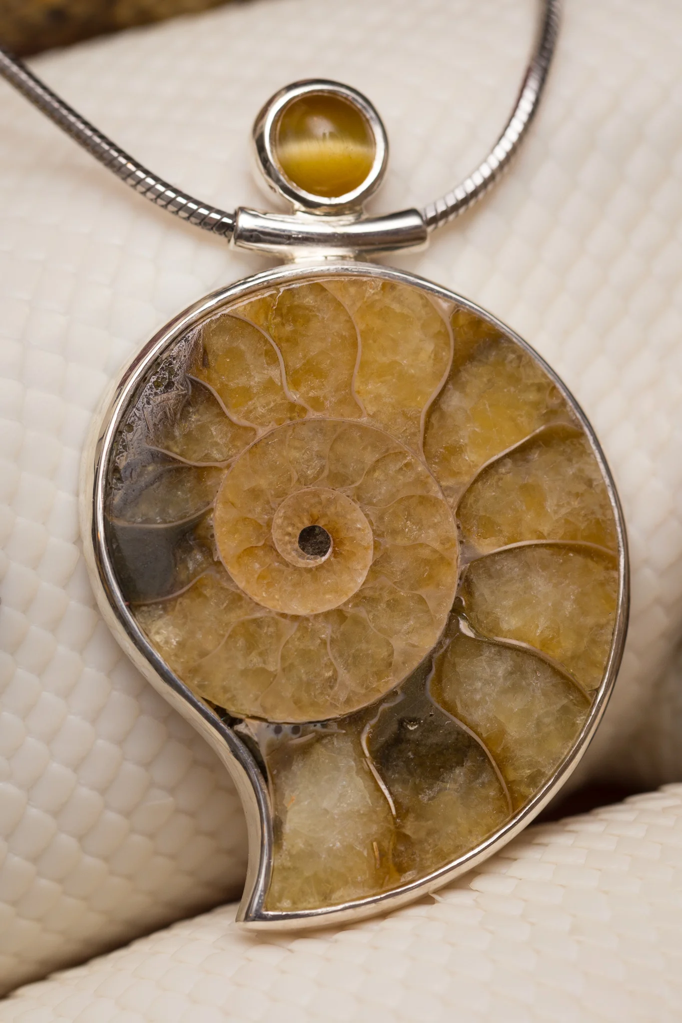 Sterling silver tigereye and fossilized agate ammonite neck