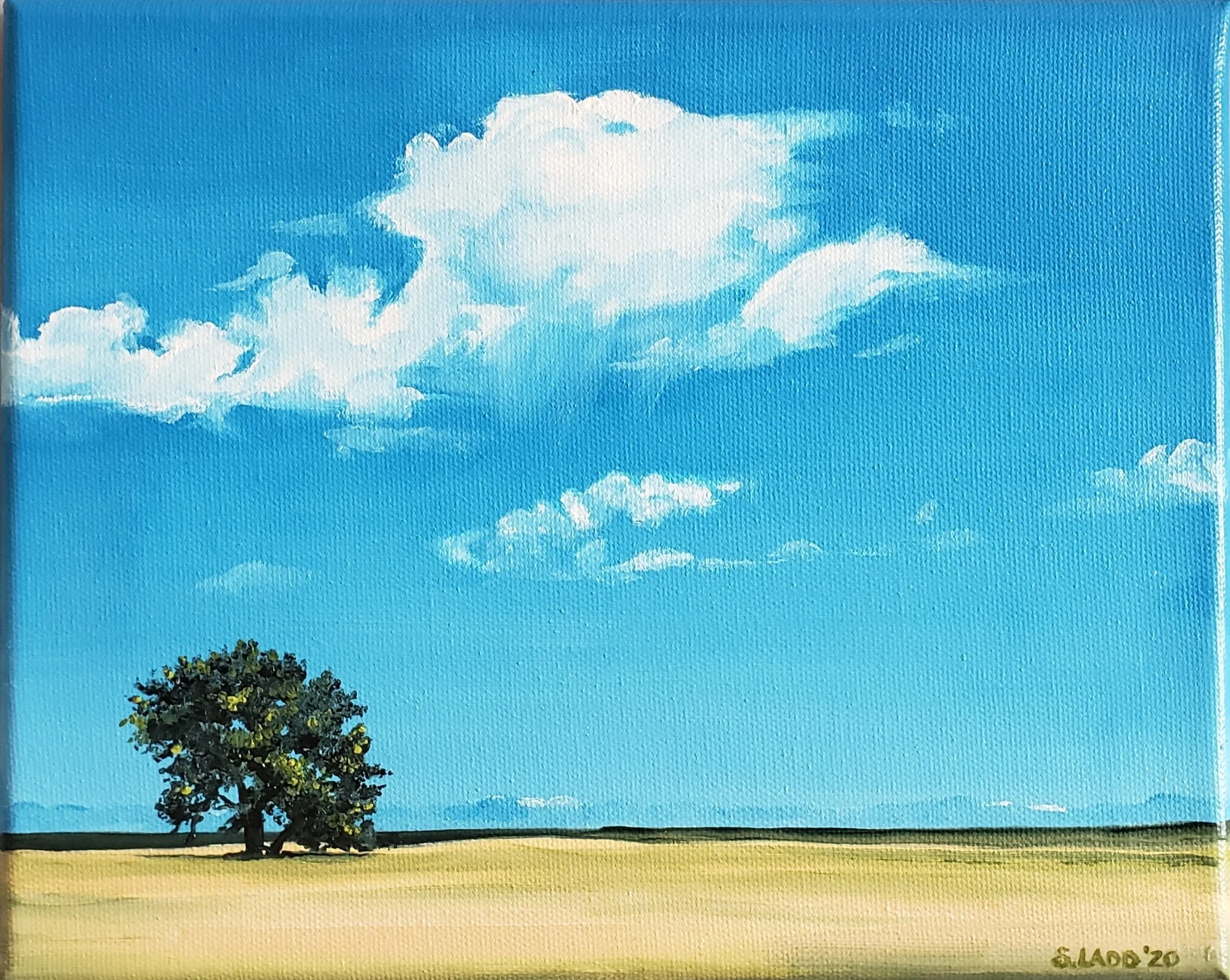  8x10” oil on linen 