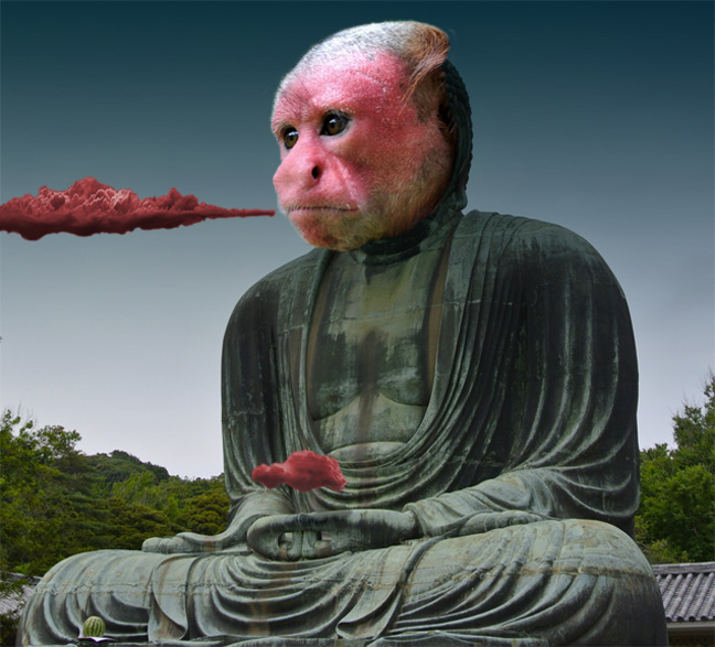 Buddha_Rail.jpg