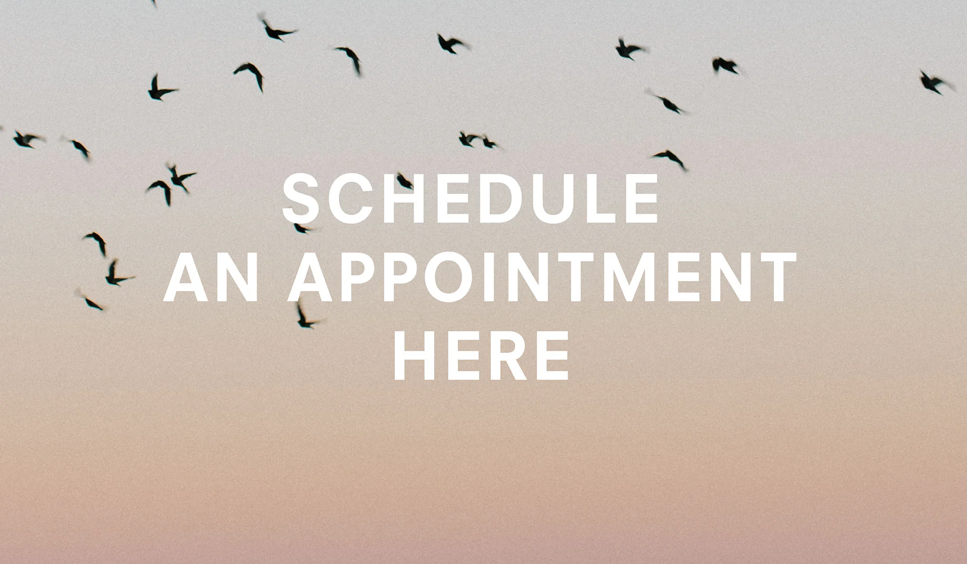 Vanessa Katz, Psyd- Individual & Couples Counseling/ Psychotherapy